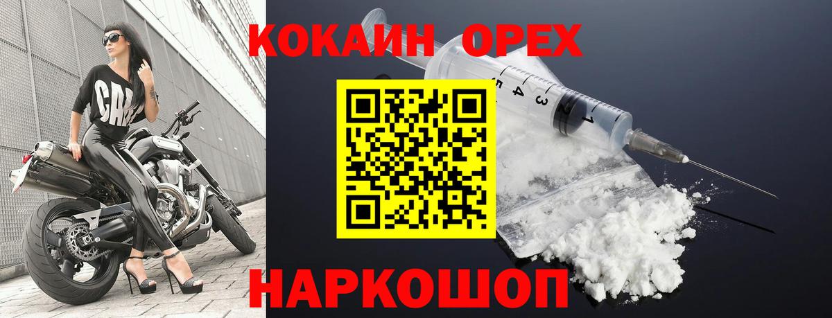 COCAIN Fish Scale  Вход с VPN  Зима 