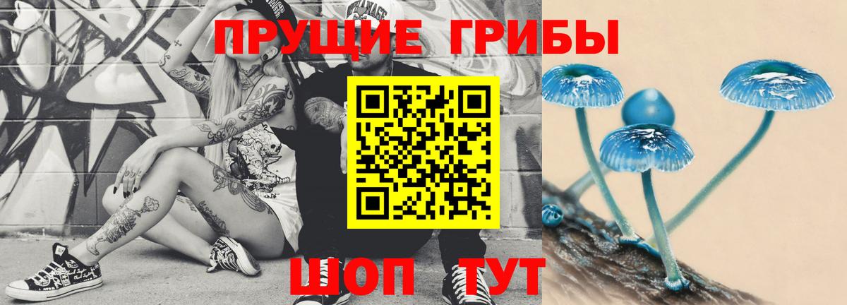 Зима  Галлюциногенные грибы мицелий  хочу   Вход с VPN  Псилоцибиновые грибы Psilocybe 