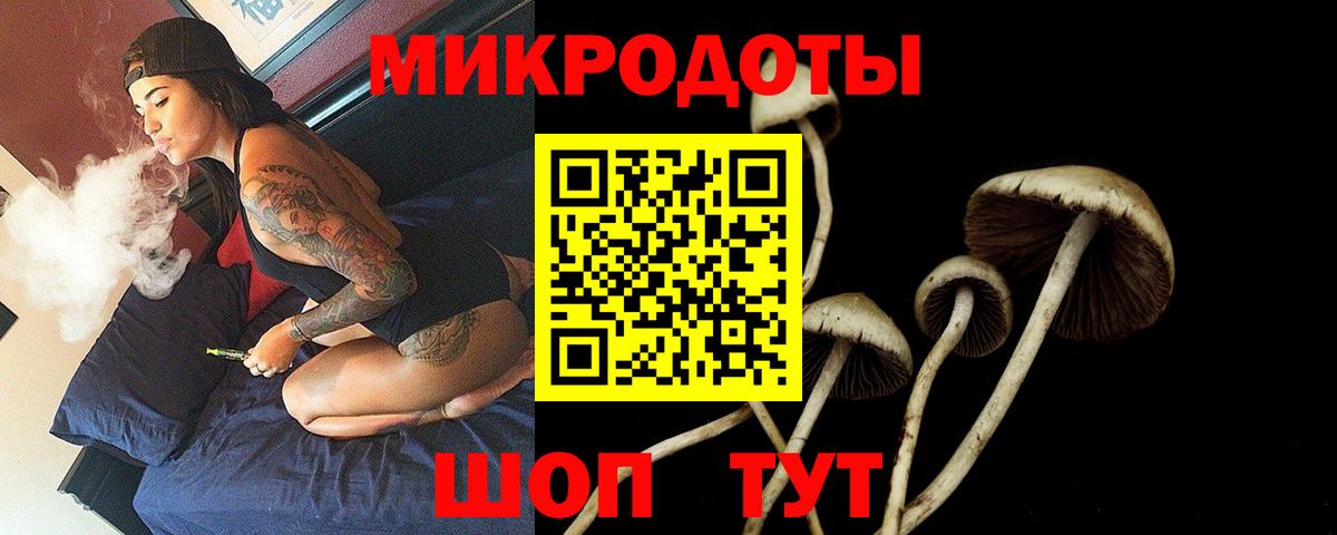 Псилоцибиновые грибы ЛСД Зима